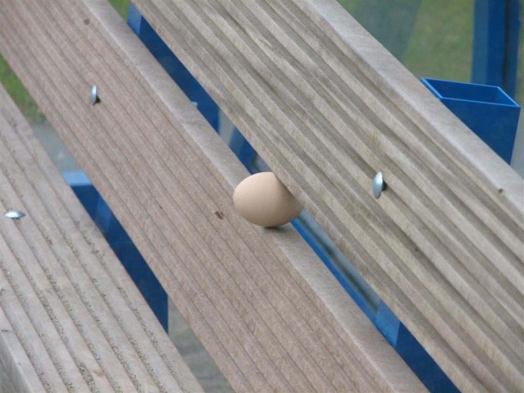 2008_03_22_paaseieren (115).jpg